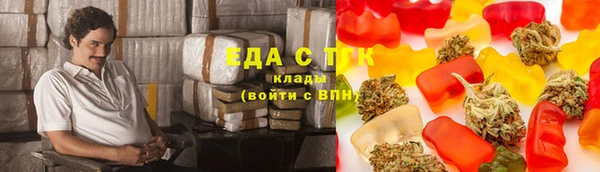 амф Каменка