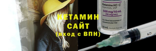 амф Каменка