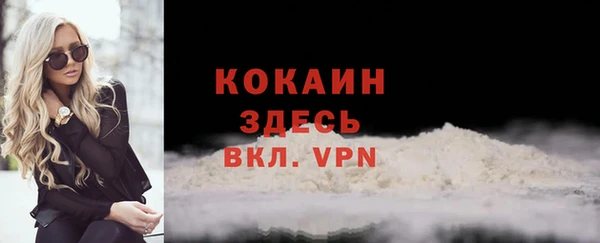МДПВ Инсар