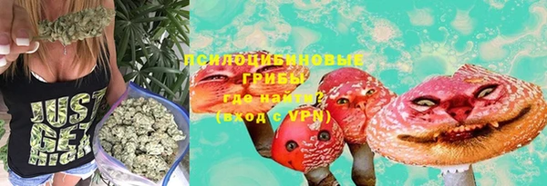 гидропоника Карпинск