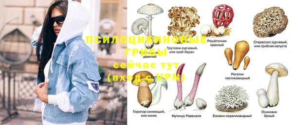 ешки Иннополис