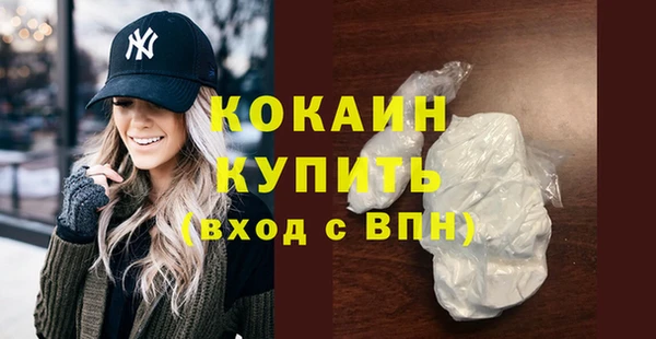 амф Каменка